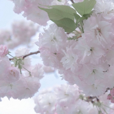 Furry绘画动态技巧兽圈社群